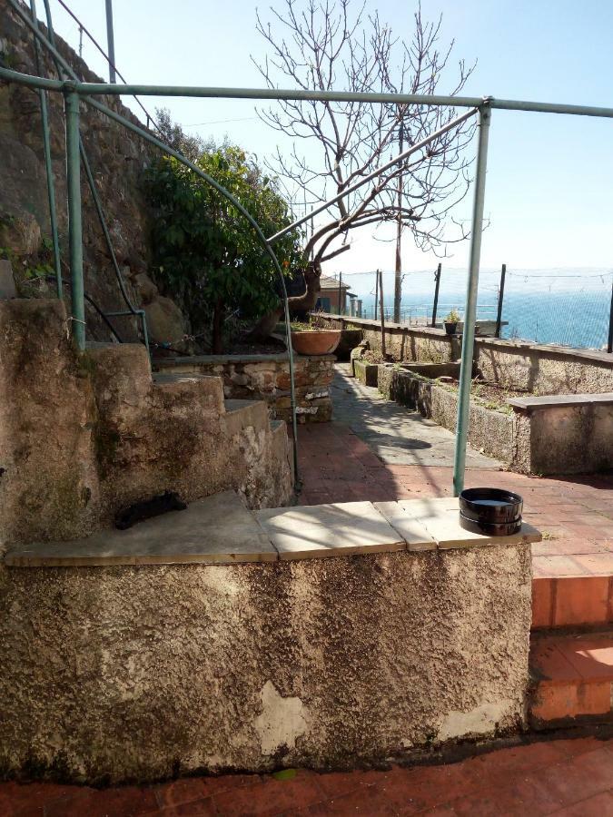 Casa Picasso Appartement Genua Buitenkant foto
